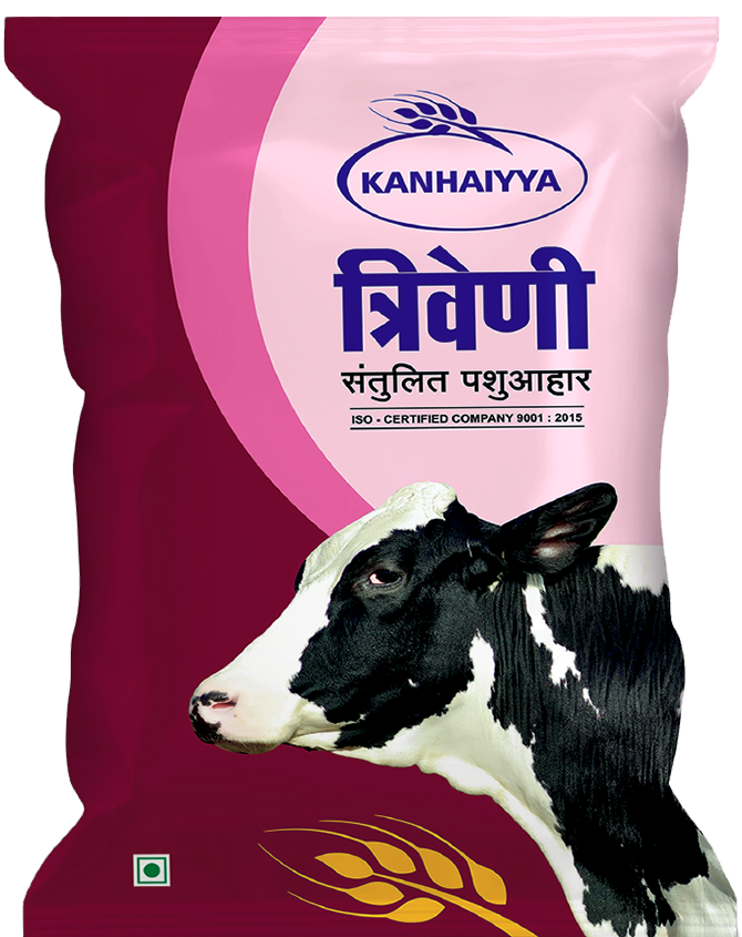 Kanhaiyya Triveni